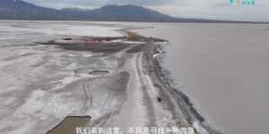 科乐美：从资源发现到科学求证——新疆天然微藻资源开发的新探索